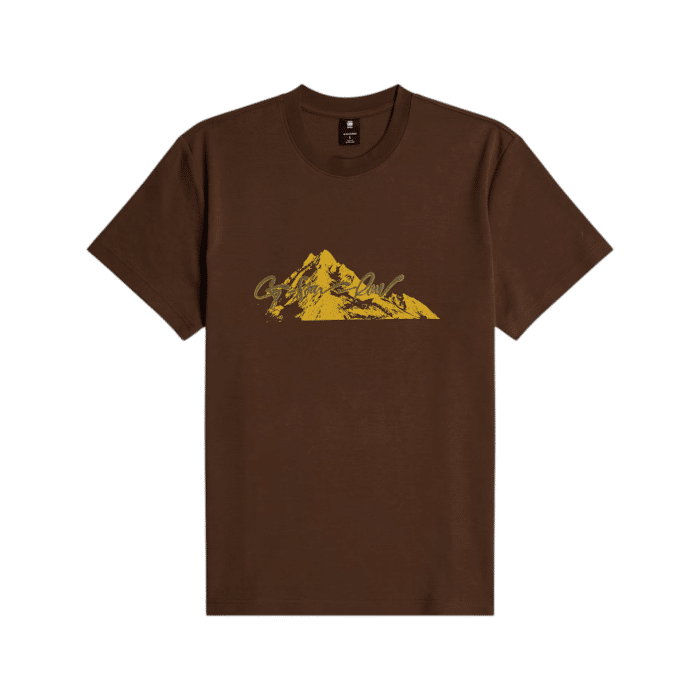 G Star Tee Summit Graphic Brown